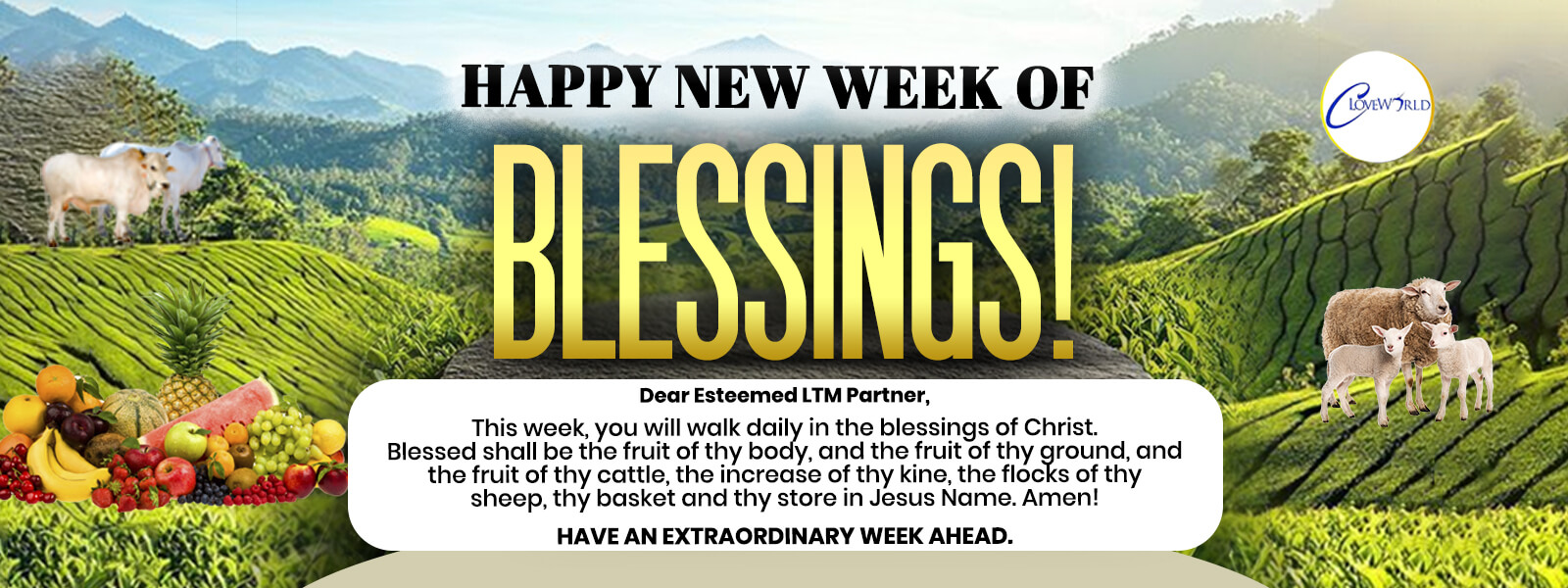 HAPPY NEW WEEK